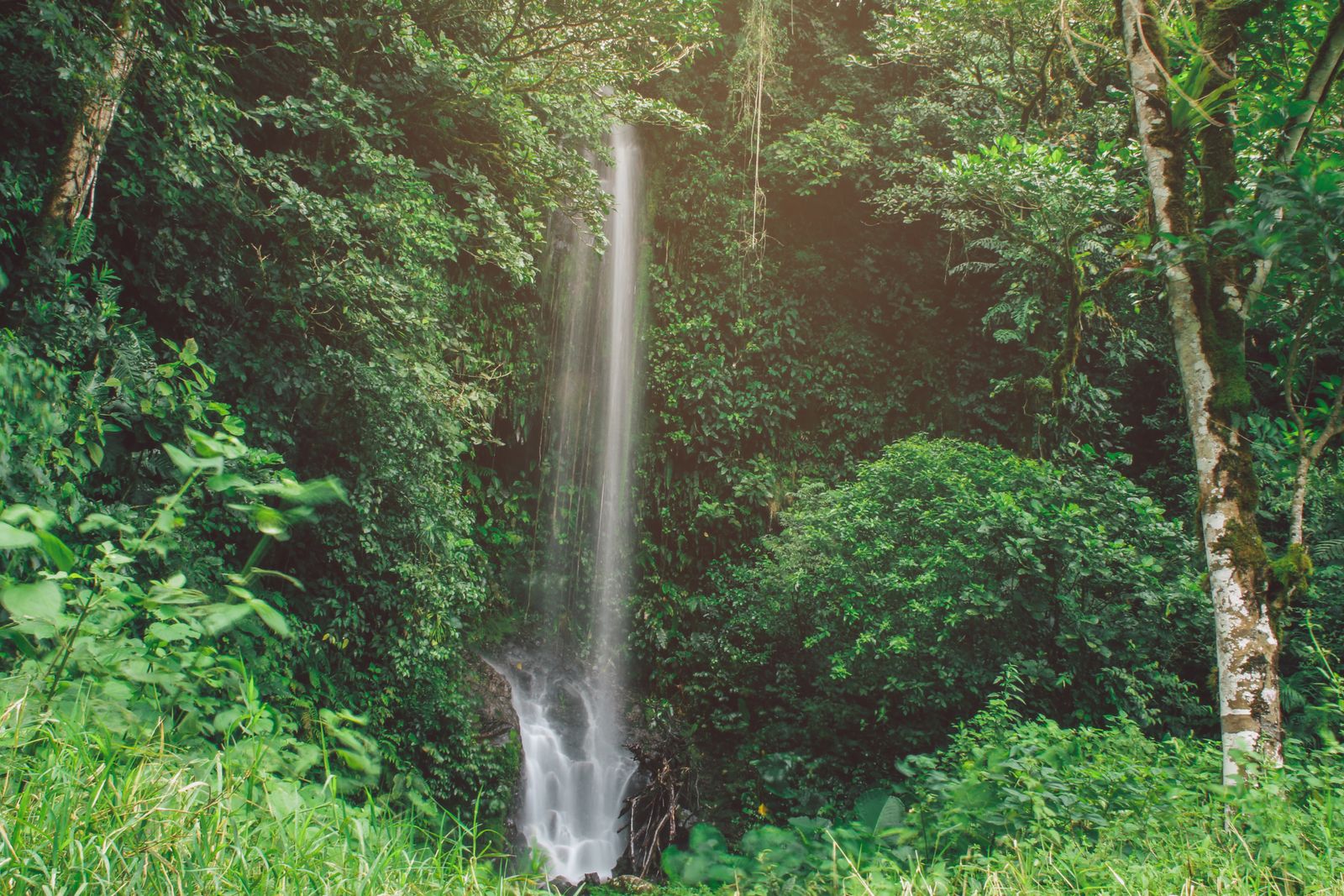 Cascata nella foresta tropicale di Panama